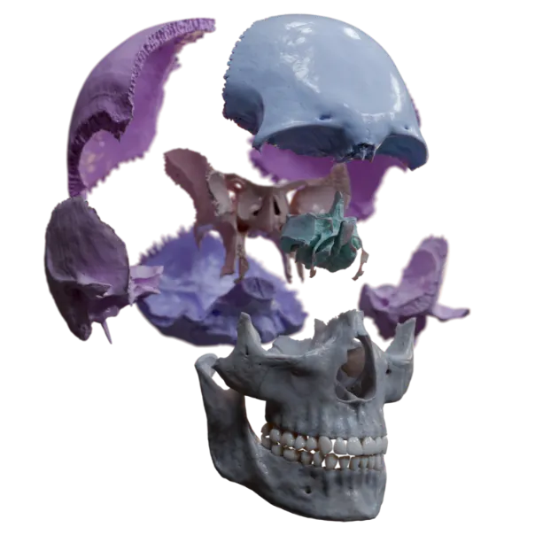 3D models, videos, animations, and 2D illustrations visualization